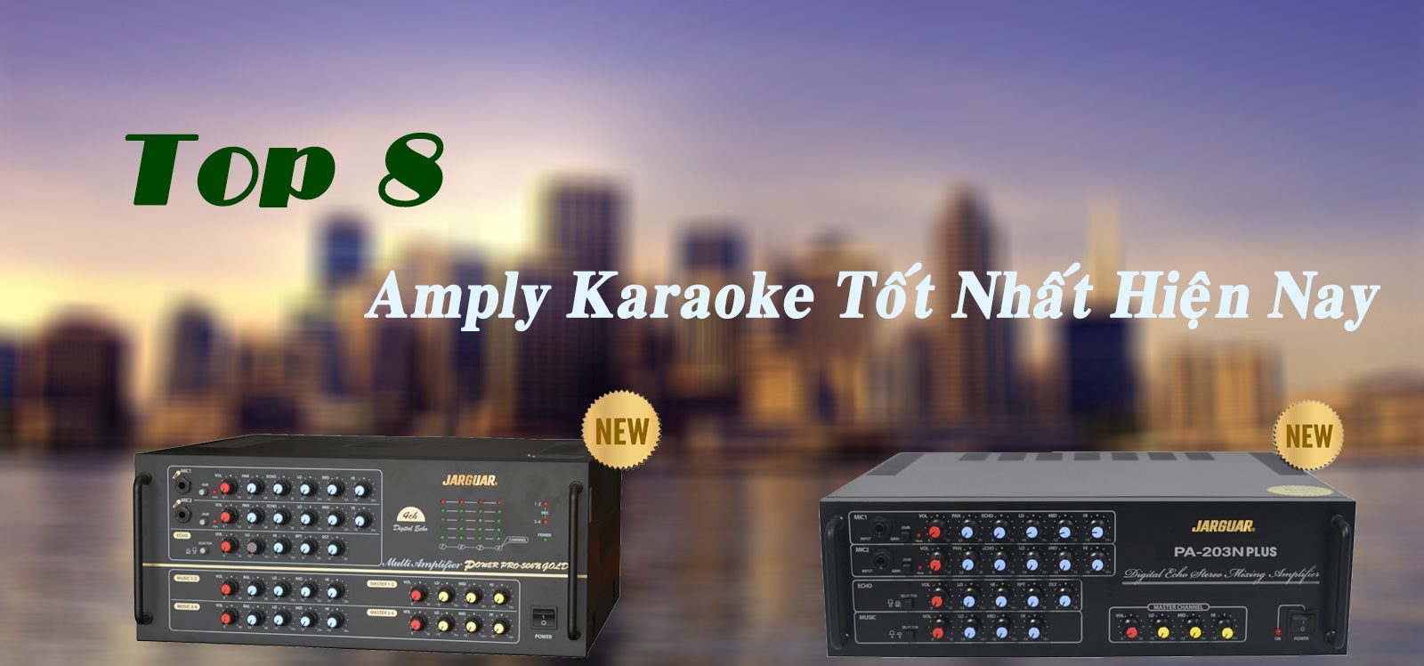 Amply karaoke chính hãng